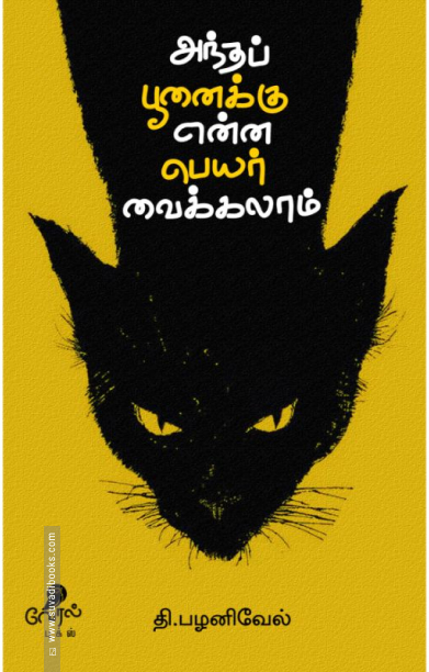 அந்தப் பூனைக்கு என்ன பெயர் வைக்கலாம்