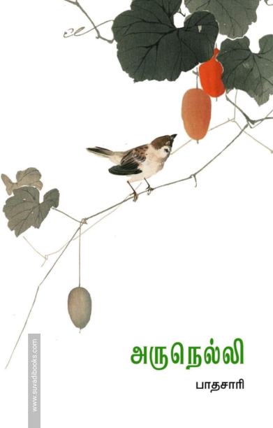 அருநெல்லி