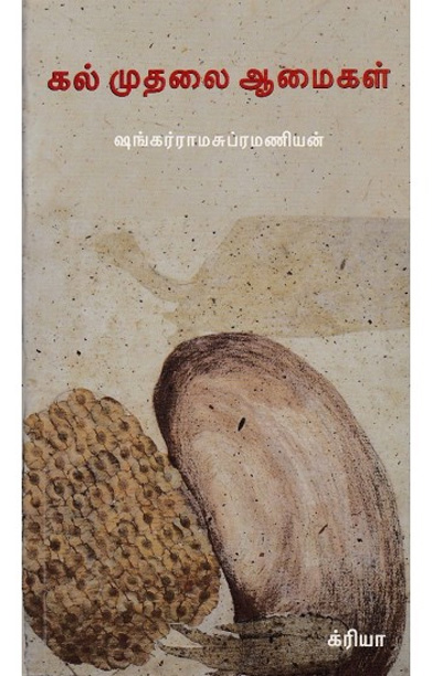 கல் முதலை ஆமைகள்