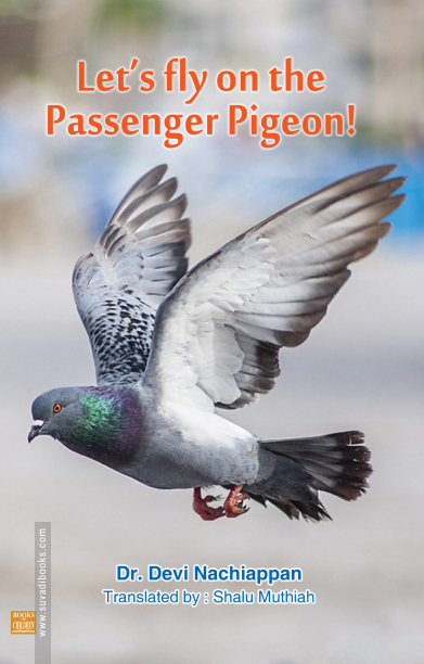 Let’s fly on the passenger Pigeon
