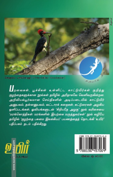 மரங்கொத்திகள்