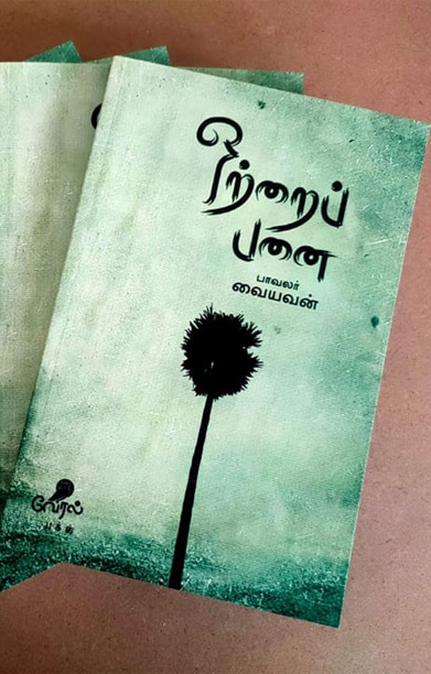 ஒற்றைப் பனை