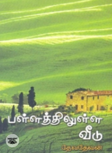 பள்ளத்திலுள்ள வீடு