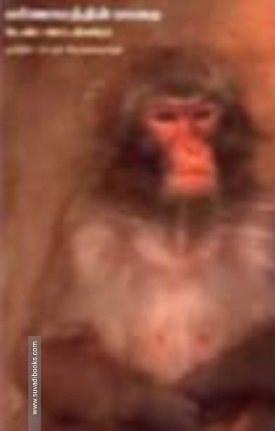 பரிமாணத்தின் பாதை