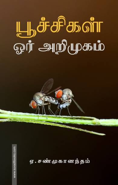பூச்சிகள்