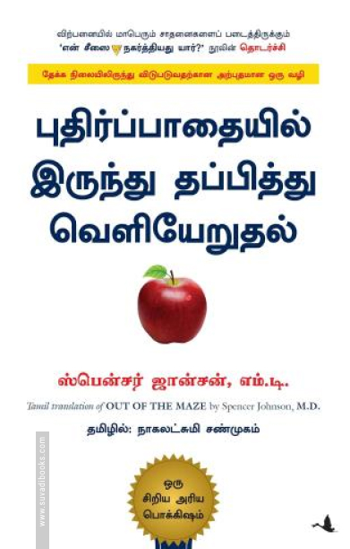 புதிர்ப்பாதையில் இருந்து தப்பித்து வெளியேறுதல்