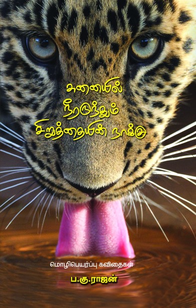 சுனையில் நீரருந்தும் சிறுத்தையின் நாக்கு