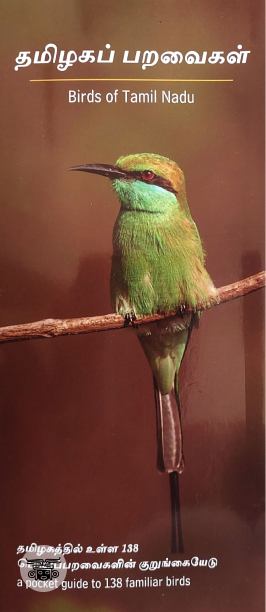 தமிழகப் பறவைகள்