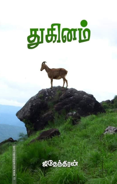 துகினம் (நாவல்)