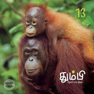 தும்பி 13