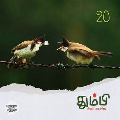 தும்பி 20