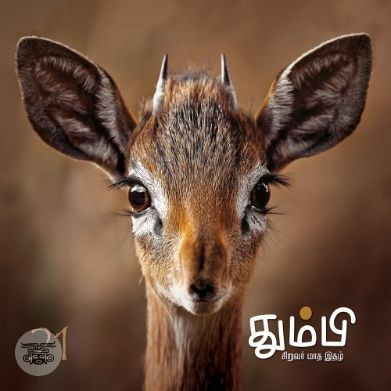 தும்பி 21