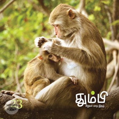 தும்பி 23