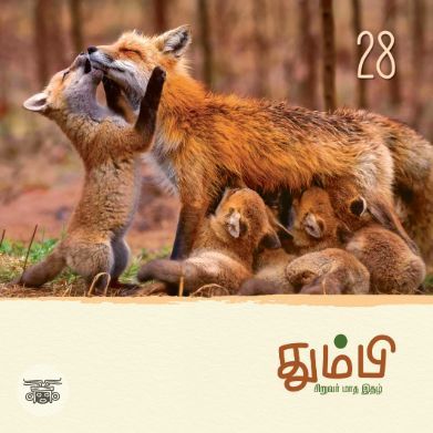 தும்பி 28