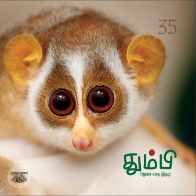 தும்பி 35