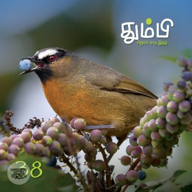 தும்பி 38