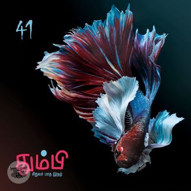 தும்பி 41