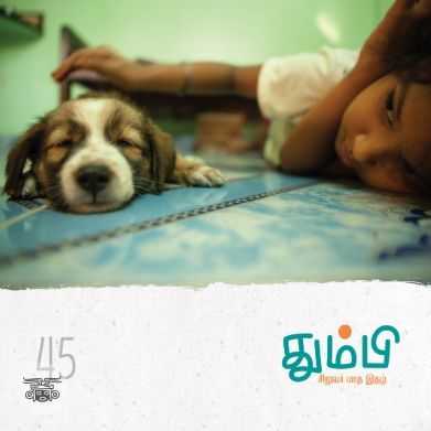 தும்பி 45