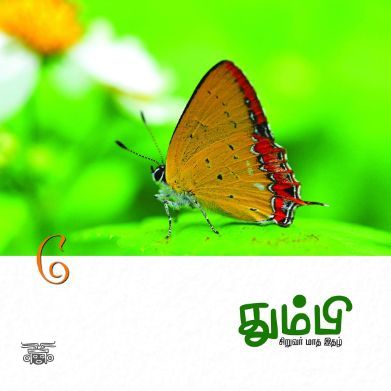 தும்பி 6