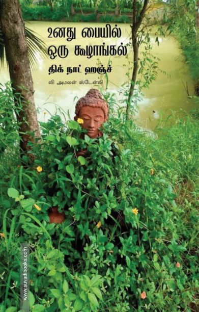 உனது பையில் ஒரு கூழாங்கல்