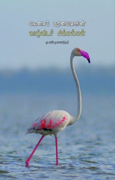 வலசைப் பறவைகளின் வாழ்விடச் சிக்கல்கள்