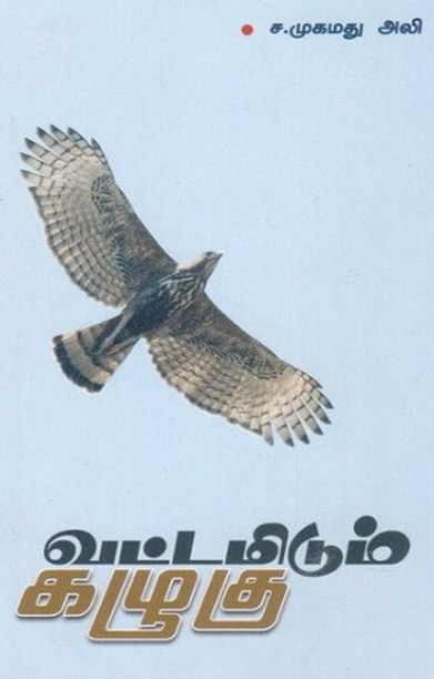 வட்டமிடும் கழுகு