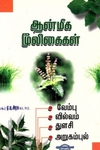 ஆன்மீக மூலிகைகள்: வேம்பு, வில்வம், துளசி, அறுகம்புல்