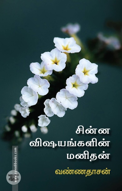சின்ன விஷயங்களின் மனிதன்