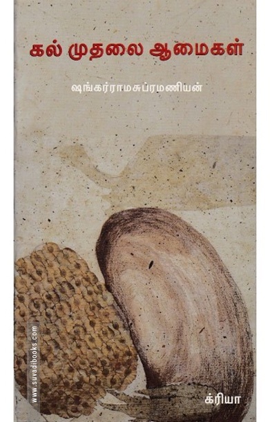 கல் முதலை ஆமைகள்