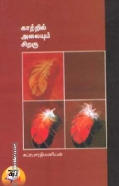 காற்றில் அலையும் சிறகு