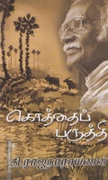 கொத்தைப்பருத்தி