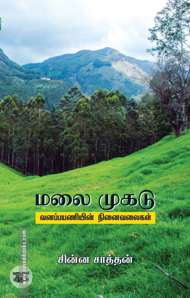 மலை முகடு