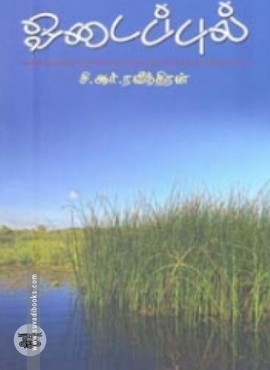 ஓடைப்புல்