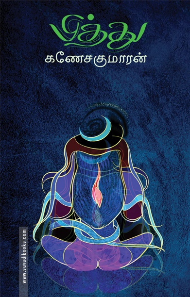 பித்து (நாவல்)
