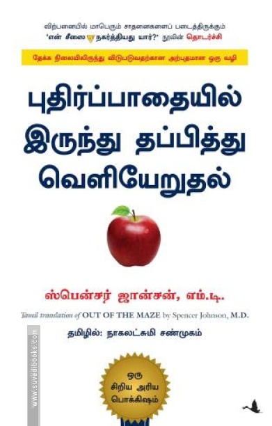 புதிர்ப்பாதையில் இருந்து தப்பித்து வெளியேறுதல்