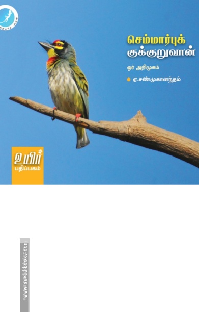 செம்மார்புக் குக்குறுவான்