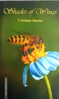 Shades of Wings