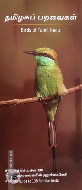தமிழகப் பறவைகள்