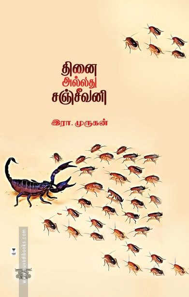 தினை அல்லது சஞ்சீவனி