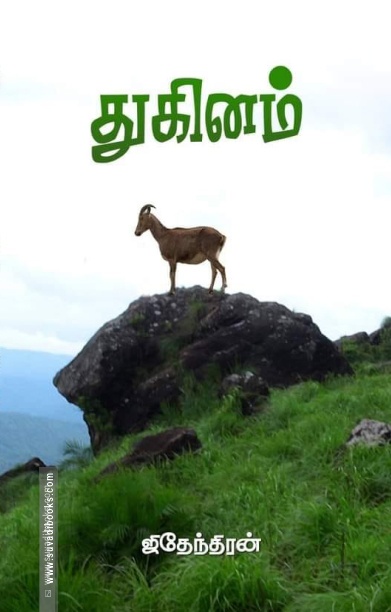 துகினம் (நாவல்)