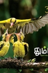 தும்பி 32