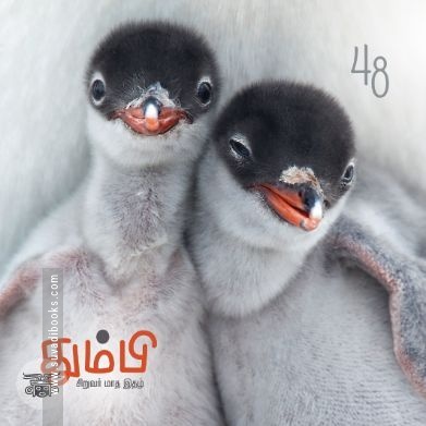 தும்பி 48