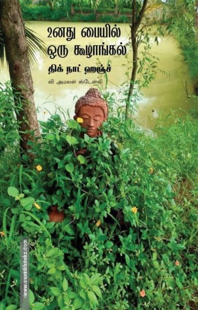உனது பையில் ஒரு கூழாங்கல்