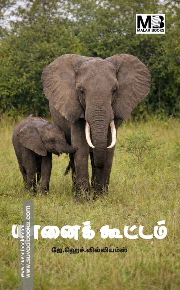 யானைக் கூட்டம்